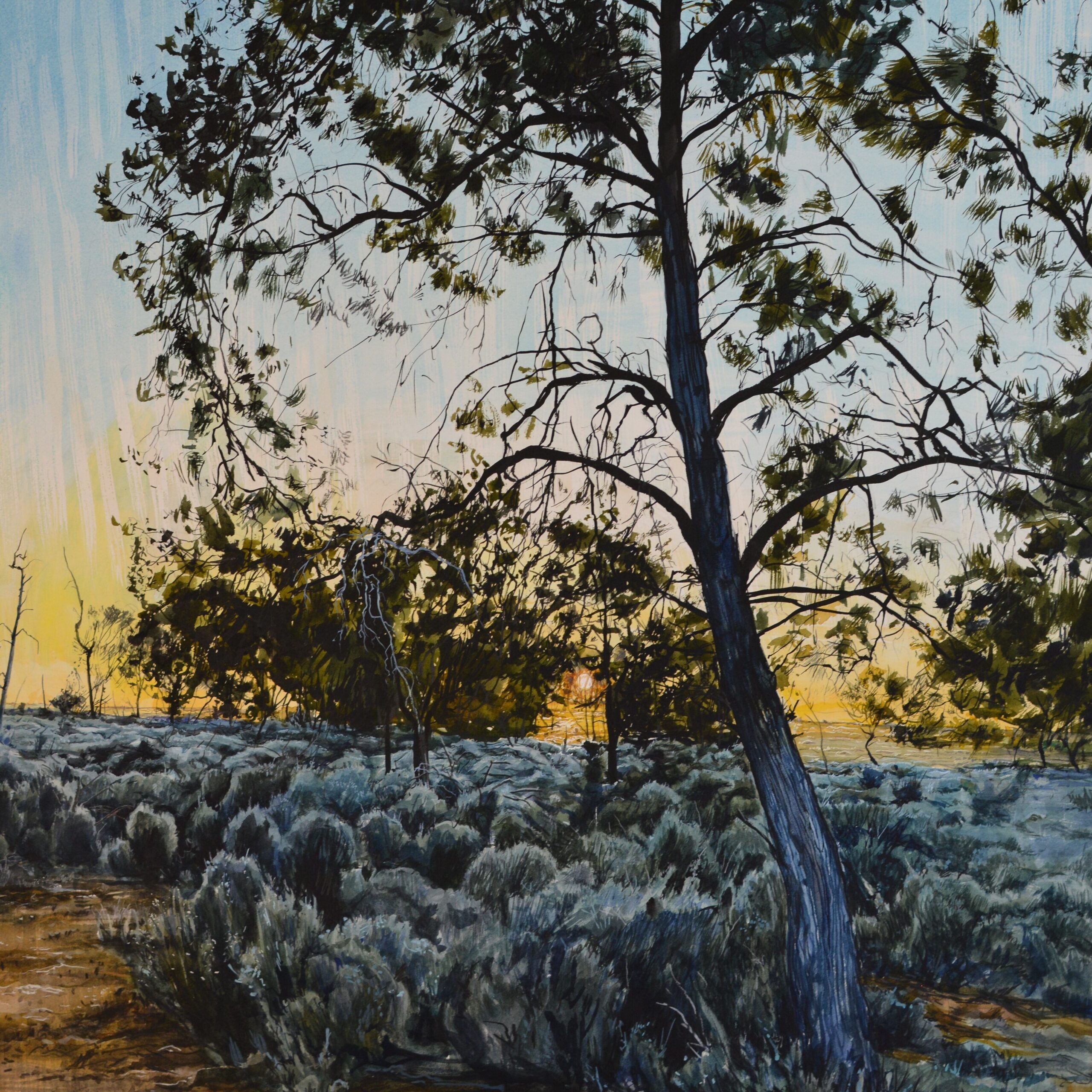 Image of oil painting of bush with sun rising in the background 