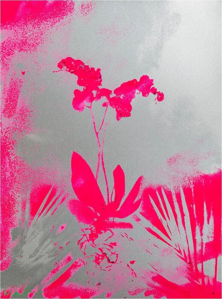 Marc Quinn, Forecourt Herbarium (Pink) - a print of silver and neon pink, featuring floral and leafy abstract elements. 